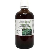 Natura Sanat Natura Sanat Thuja occidentalis / Arborvitae Tinktur (100 Ml)