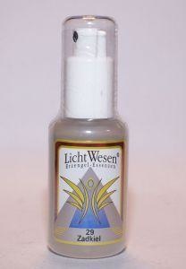 Lichtwesen Zad Kiel Tinktur 29 (30 Ml)