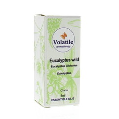 Volatile Eukalyptus wild (5 ml)