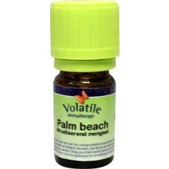 Volatile Palmenstrand (5Ml)