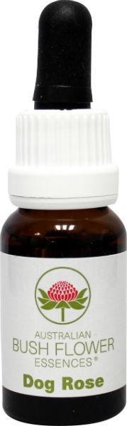 Australian Bush Hundsrose (15 Ml)