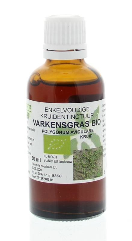 Natura Sanat Natura Sanat Polygonum avic Kraut / Schweinegras Tinktur bio (50 Ml)