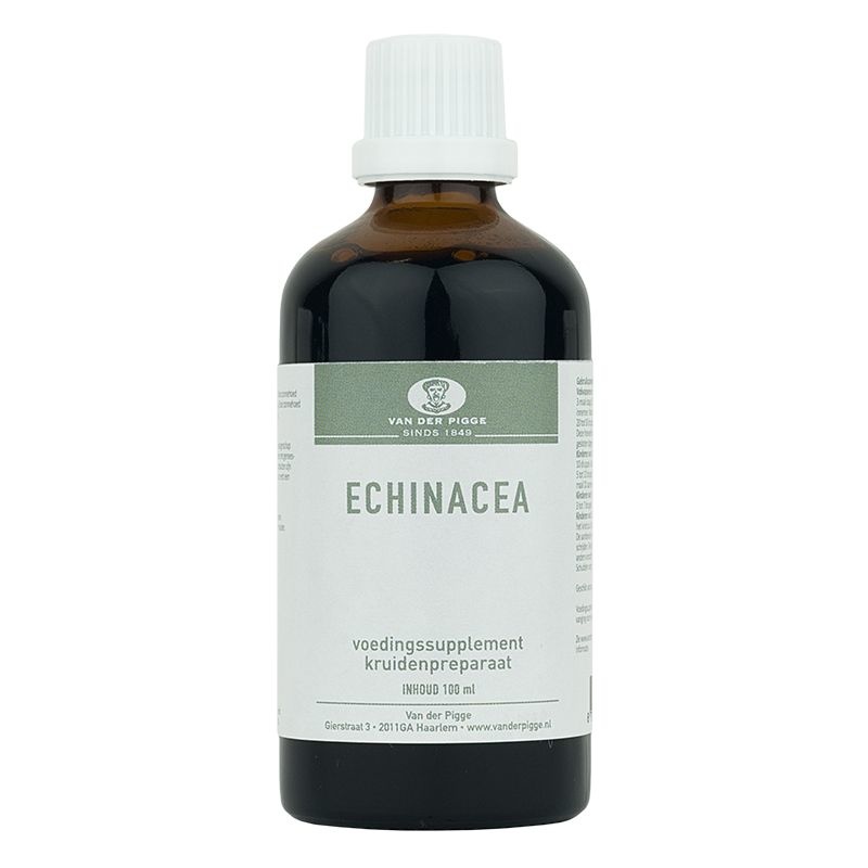 Pigge Echinacea purpurea (100Ml)