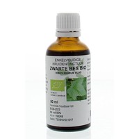 Natura Sanat Natura Sanat Ribes nigrum / Schwarze Johannisbeer-Tinktur bio (50 Ml)