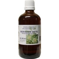 Natura Sanat Natura Sanat Cnicus benedictus / Benedictus Tinktur Bio (100 Ml)
