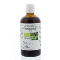 Natura Sanat Natura Sanat Chelidonium majus / Schöllkrauttinktur bio (100 Ml)
