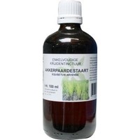 Natura Sanat Natura Sanat Equisetum arvense / Ackerschachtelhalm Tinktur (100 Ml)