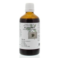 Natura Sanat Natura Sanat Fucus vesiculosus / Blasentang-Tinktur (100 Ml)