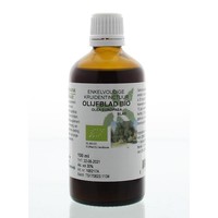 Natura Sanat Natura Sanat Olea europaea folia / Olivenblatttinktur bio (100 ml)