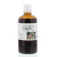 Natura Sanat Natura Sanat Arctostaphylus uva ursi / Bärentraubentinktur (100 Ml)
