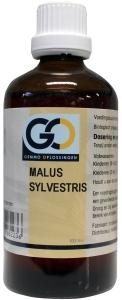 GO GO Malus sylvestrus Bio (100 Ml)