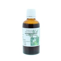 Natura Sanat Natura Sanat Galeopsis tetrahit Kraut / Hanf-Brennnessel-Tinktur (50 Ml)