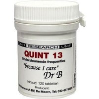 DNH DNH Quint 13 (120 Tab)