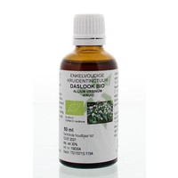 Natura Sanat Natura Sanat Allium ursinum / Bärlauch-Tinktur bio (50 Ml)