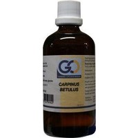 GO GO Carpinus betulus (100 ml)