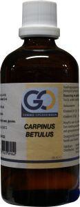 GO GO Carpinus betulus (100 ml)