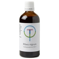 TW TW Ribes nigrum Schwarze Johannisbeere (100 Ml)