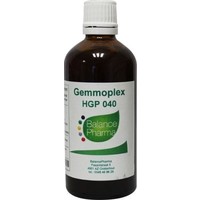 Balance Pharma Balance Pharma HGP040 Gemmoplex Tiefenlymphe (100 ml)