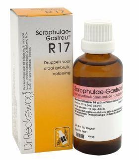 Reckeweg Reckeweg Scrophulae gastreu R17 (50 ml)