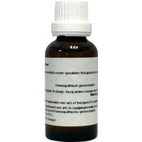 Homeoden Heel Homeoden Heel Kieselsäure D12 (30Ml)