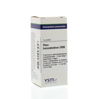 VSM VSM Rhus toxicodendron 200K (4 gr)