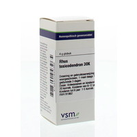 VSM VSM Rhus toxicodendron 30K (4 gr)