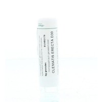 Homeoden Heel Homeoden Heel Clematis erecta D30 (6 gr)