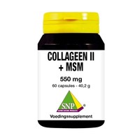 SNP SNP Kollagen II + MSM (60 Caps)