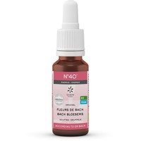 Lemonpharma Bach Lemonpharma Bach Bachblütenmischung 40 Energie Bio (20 Ml)