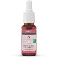 Lemonpharma Bach Lemonpharma Bach Bachblütenmischung 40 Energie Bio (20 ml)