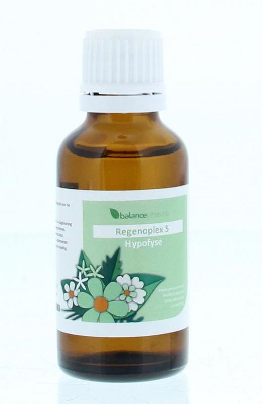 Balance Pharma Balance Pharma RGP005 Hypophysen-Regenoplex (30 Ml)