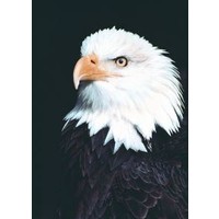 Animal Essences Animal Essences Adler (30 Ml)