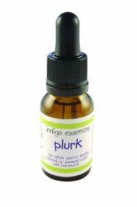 Indigo Essences Indigo Essences Plürk (15 Ml)