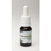 Star Remedies Star Remedies Gurkengewürz (10 Ml)