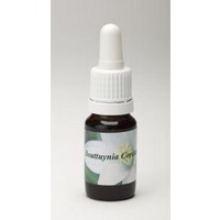 Star Remedies Star Remedies Houttuynia cordata (10 Ml)