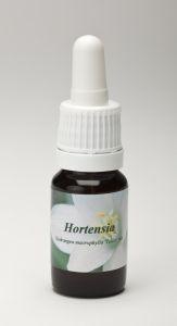 Star Remedies Star Remedies Hortensie (10ml)