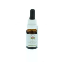 Australian Bush Australian Bush Kapokbusch (15 Ml)