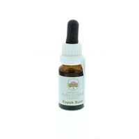 Australian Bush Australian Bush Kapokbusch (15 ml)