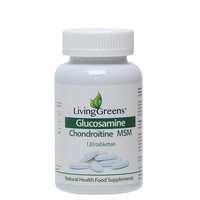 Livinggreens Livinggreens Glucosamin Chondroitin MSM (120 Tabletten)