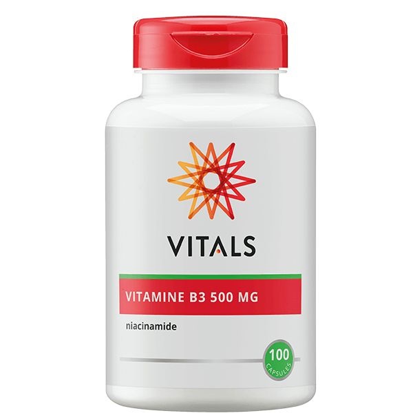 Vitals Vitamin B3 Niacinamid 500 mg (100 Caps)