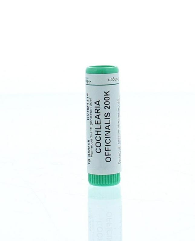 Homeoden Heel Homeoden Heel Cochlearia officinalis 200K (1 gr)