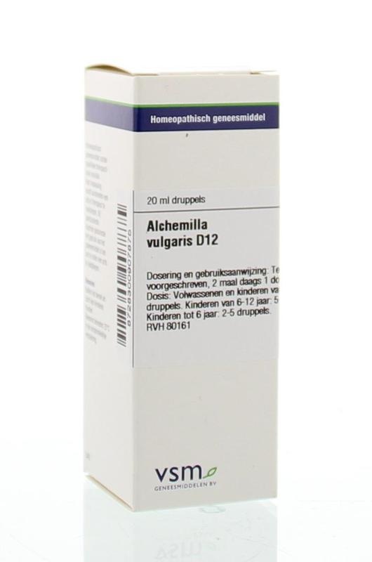 VSM VSM Alchemilla vulgaris D12 (20 ml)