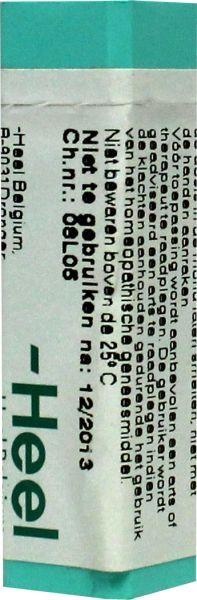 Homeoden Heel Homeoden Heel Phytolacca decandra LM3 (1 gr)