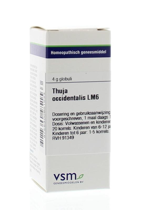 VSM VSM Thuja occidentalis LM6 (4 gr)