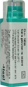 Homeoden Heel Lycopodium clavatum LM10 (6 g)
