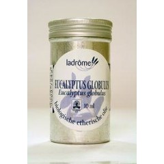 Eukalyptus globulusöl organisch 10 ml