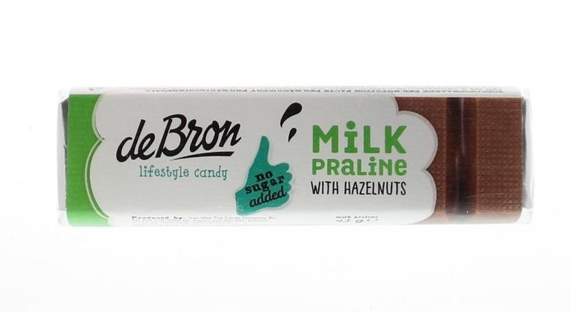 De Bron De Bron Schokoladenmilch Haselnuss zuckerfrei (42 gr)