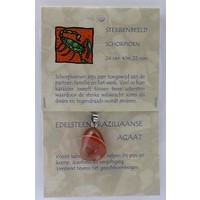 Steengoed Steengoed Skorpion Sternzeichen Anhänger (1 Stück)