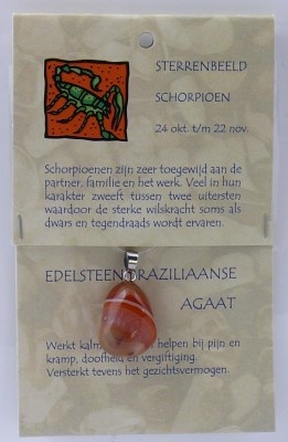 Steengoed Skorpion Sternzeichen Anhänger (1 Stück)