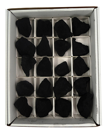 Ruben Robijn Verkaufsbox Schungit (1 Set)